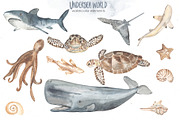 Undersea world Watercolor Part II, an Animal Illustration by Marina Ermakova (Thumbnail 4 of 13)
