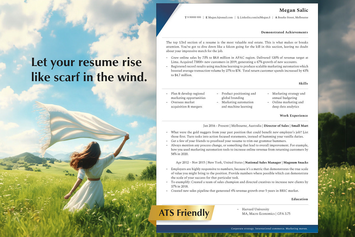 CEO Resume Template, CV Templates, a Resume Template by Career Canvas (Photo 1 of 11)