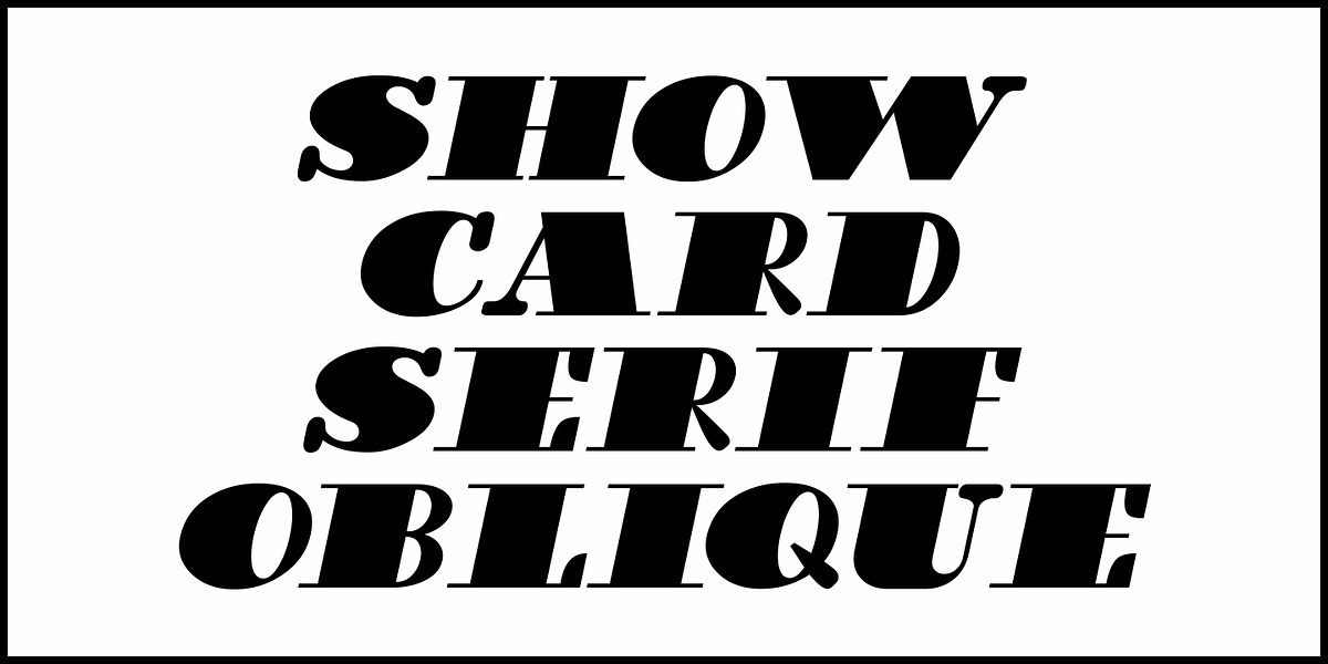 Show Card Serif JNL, a Serif Font by Jeff Levine Fonts (Photo 4 of 5)