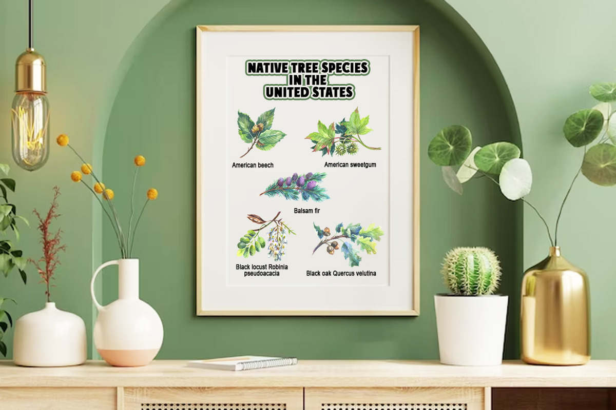 Native tree species in the USA, a Seasonal Illustration by FITALARTSNEDIGI (Photo 7 of 7)