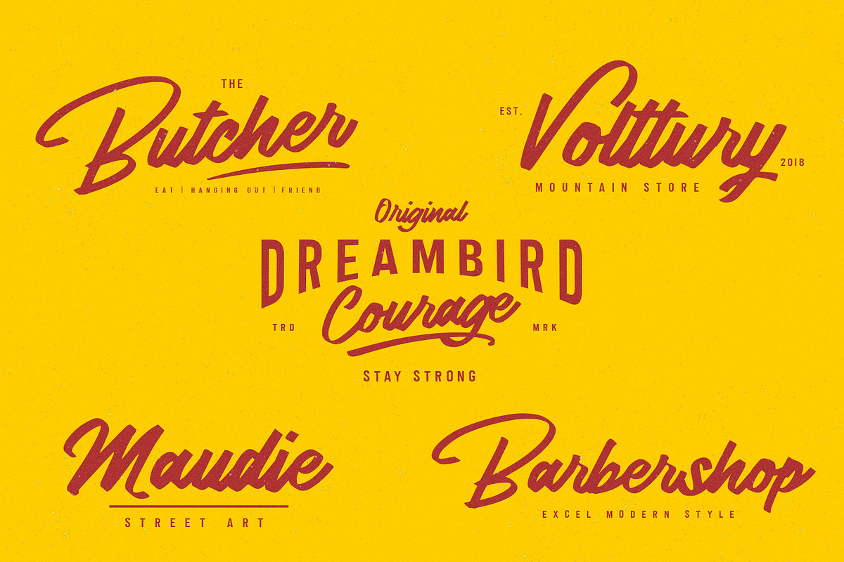 Lydiani Typeface // Font Duo preview 5