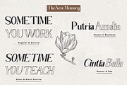 The New Memory, a Serif Font by TM Type (Thumbnail 11 of 17)
