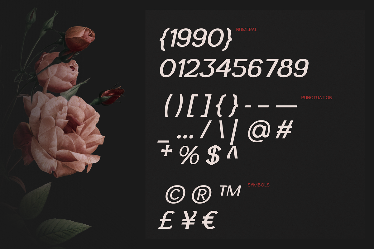 Hertloom Typeface, a Sans Serif Font by CuratedType Studio (Photo 6 of 10)