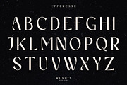 Wendys | Modern and chic Sans Serif, a Sans Serif Font by roomspace creative lab (Thumbnail 11 of 14)