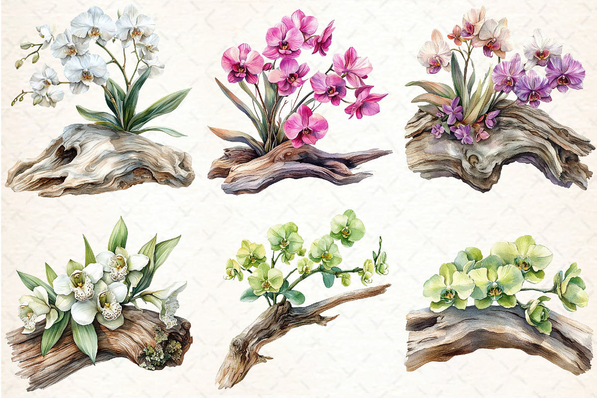 Exclusive Orchid Ikebana on Driftwoo, an Illustration by DreamCafeArt (Photo 2 of 7)