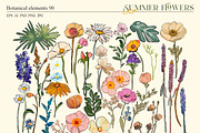 Summer flowers set, a Seasonal Illustration by Collection by VY (Thumbnail 3 of 11)