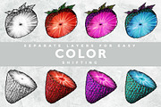 Fruits and Flowers Pack, an Illustration by Rafael (Thumbnail 6 of 6)