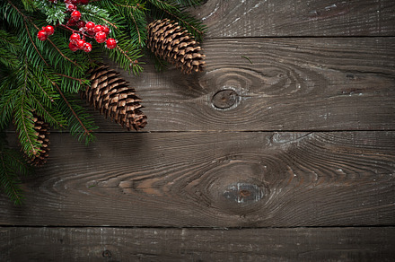 Christmas decorations fir tree branch featuring above, abstract, and, a Holiday Photo by Nadia-nb