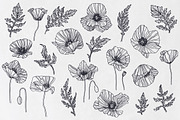 Poppy Lines, an Illustration by Petite Salade (Thumbnail 2 of 2)