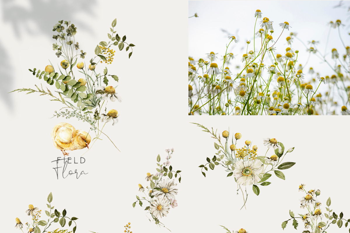 Spring woodland Baby animals clipart, an Animal Illustration by 60secondsArt (Photo 9 of 14)