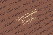 Virendra Pro - Modern Serif Font, a Serif Font by Hakara Type (Thumbnail 14 of 15)