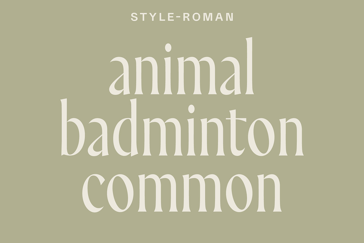 Stylebender Serif - Multi-style Font, a Serif Font by Tropical Type (Photo 4 of 17)