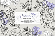 Flowers of Jacaranda. Botanical Set, a Decorative Illustration by ON_lineart_store (Thumbnail 1 of 10)