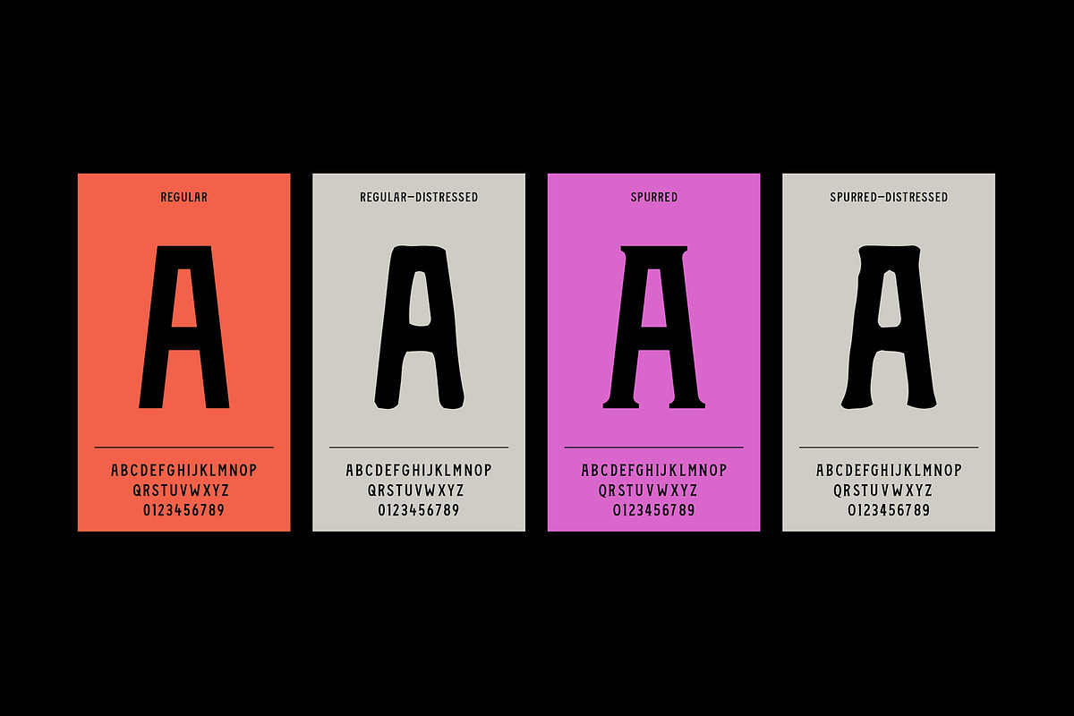 Vicente Font Family, a Font by Stable (Photo 2 of 10)