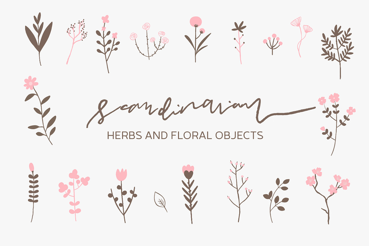 Scandinavian - Herbs and Flowers, an Object Illustration by Paperly Studio (Photo 1 of 4)