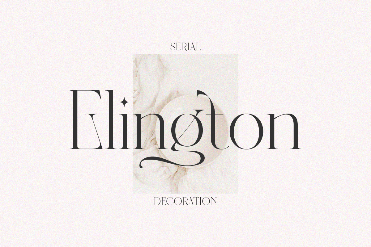 Dealoras Font Duo, a Serif Font by Attract Studio (Photo 2 of 17)