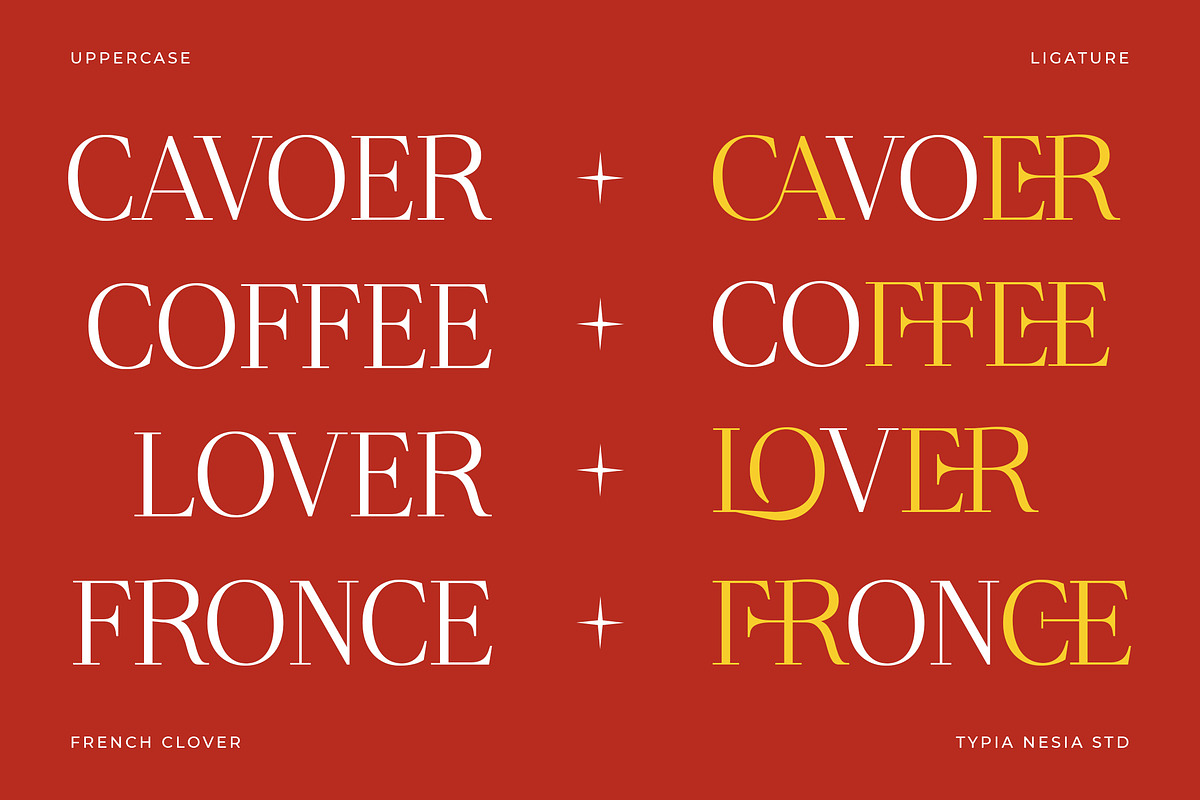 French Clover - Ligature Serif, a Serif Font by Typia Nesia (Photo 5 of 13)