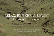 Blissful Radiance Handwritten Font, a Handwritten Font by The Gelato Type (Thumbnail 10 of 29)
