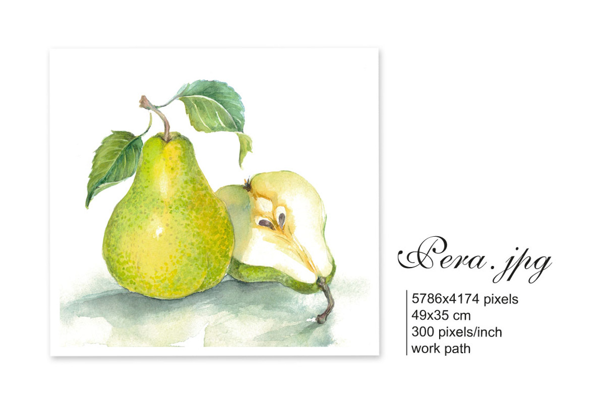 Set of 4 watercolor Fruits, an Illustration by Marina.Markizova (Photo 3 of 6)