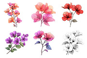 Bougainvillea Flower Clipart Bundle, an Illustration by Dream Creation (Thumbnail 2 of 6)