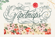 Wondshe Typeface, a Script Font by alit design (Thumbnail 8 of 20)