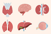 Set of human internal organs, an Education Illustration by Yayasya (Thumbnail 2 of 3)