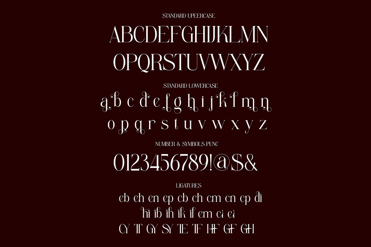 Replice Modern Elegant Serif, a Serif Font by Alfinart (Photo 2 of 11)