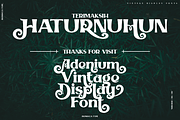Adenium, a Serif Font by inumocca_type (Thumbnail 11 of 11)