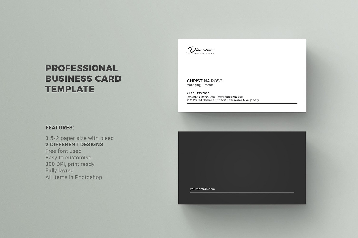Business Card, a Business Card Template by Diverter (Photo 1 of 3)