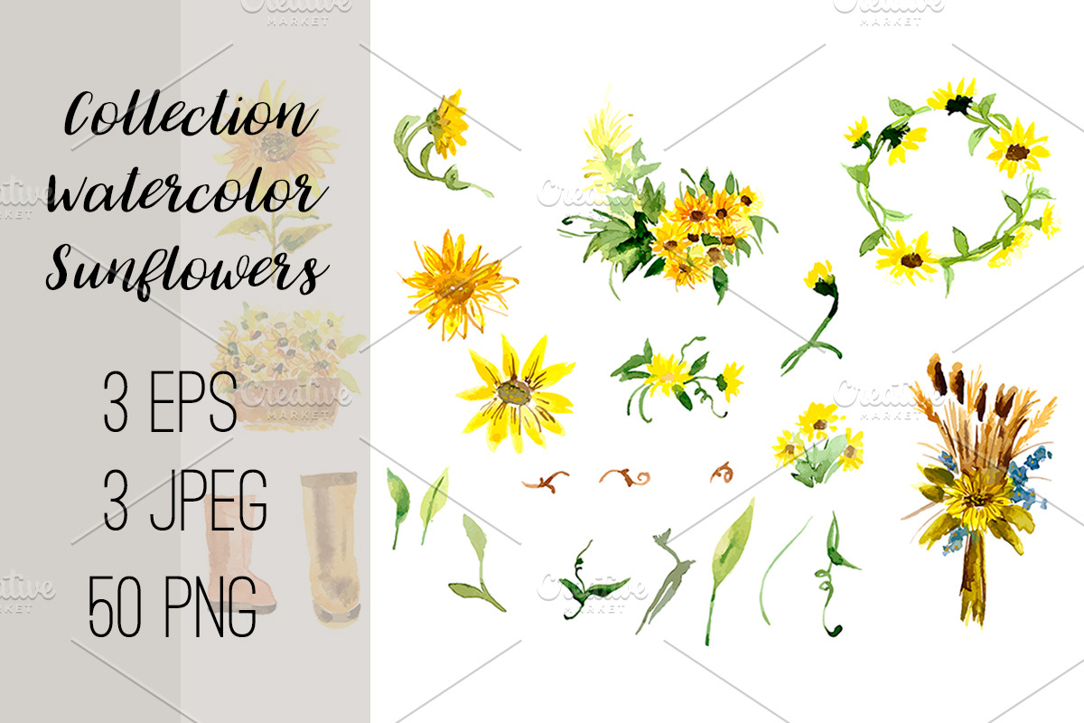 №2 Collection Watercolor Sunflowers, a Decorative Illustration by Rasveta (Photo 1 of 4)