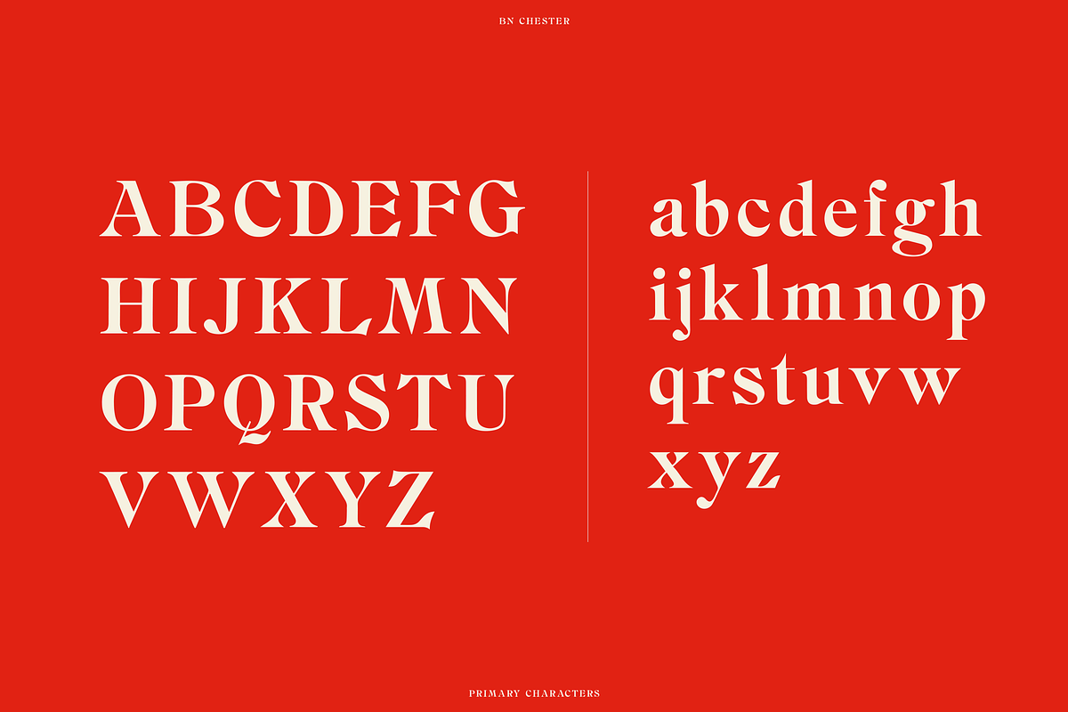BN Chester - A Unique Serif Font, a Handwritten Font by Bnick (Photo 3 of 10)