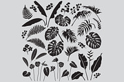 Tropical Leaves and Flowers, a Decorative Illustration by Valentyna Smordova (Thumbnail 2 of 2)