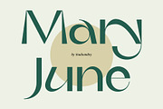 Mary June - A Modern Contrast Sans, a Sans Serif Font by StudioinBry (Thumbnail 1 of 12)