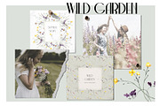 Wild Garden. Watercolor wildflowers., an Object Illustration by ma_i_vi (Thumbnail 2 of 11)