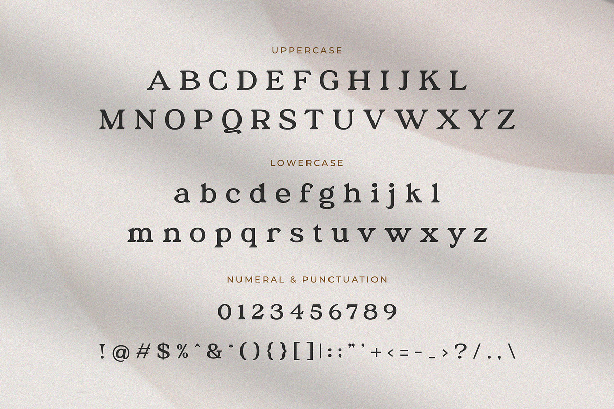 Austena – Modern Stylish Serif, a Serif Font by BrandSemut (Photo 9 of 10)