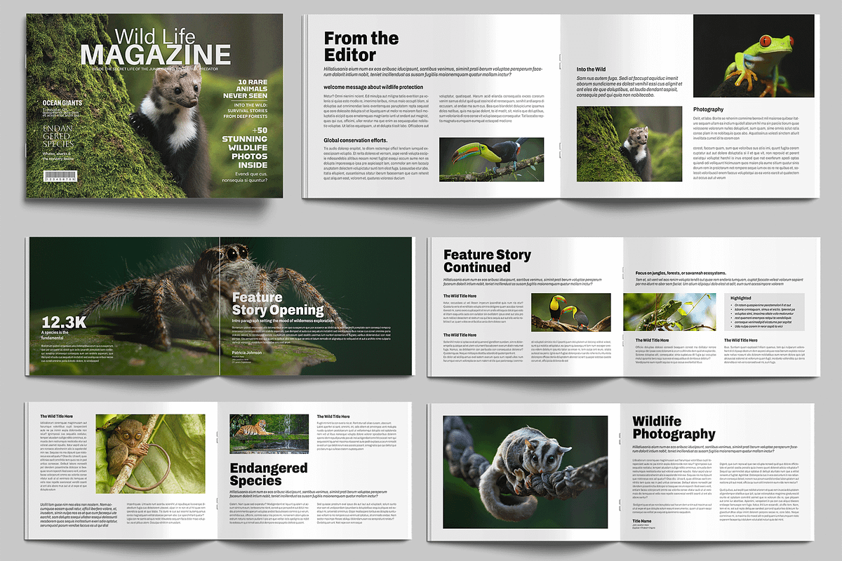 Wildlife Photography Magazine, a Magazine Template by MightyDesign (Photo 1 of 9)