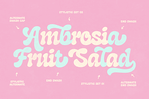 Bigoudi Retro Bold Script & Sans Duo