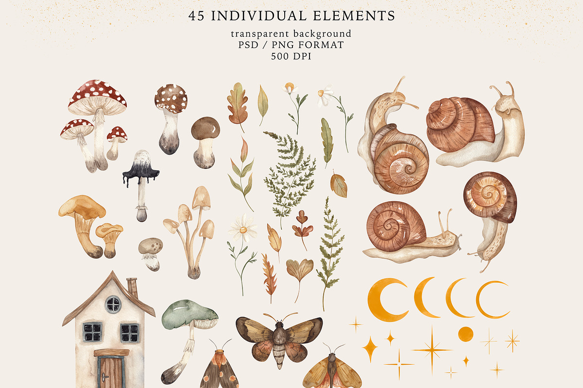 Magic Forest.Watercolor snails tales, an Animal Illustration by Ooh Lily (Photo 9 of 14)