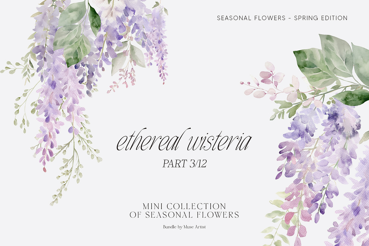 SPRING BOX Watercolor Bundle 400+, a Decorative Illustration by Muse Artist (Photo 18 of 99)