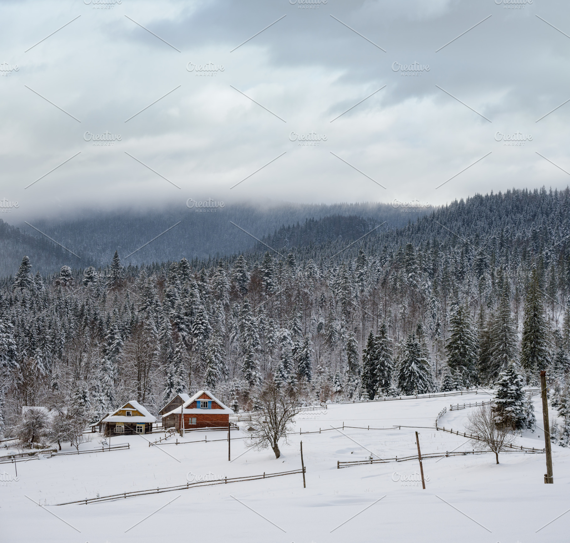 Countryside hills, groves and farmlands in winter remote alpine, a Nature Photo by YuriyB