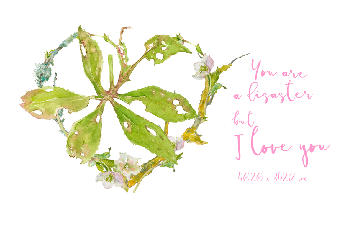 Hearts-watercolor-Hellebore, an Illustration by watercolorwild.graphics (Photo 12 of 19)