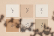 Figara: Line Drawings & Illustration, an Animal Illustration by Delightful Design (Thumbnail 11 of 20)