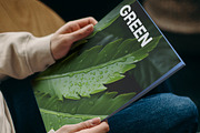 Tropical leaves. 38 images, a Decorative Illustration by Handmadefont (Thumbnail 10 of 10)
