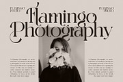 Birahi Stylish Serif Font, a Serif Font by Perfectype (Thumbnail 7 of 8)