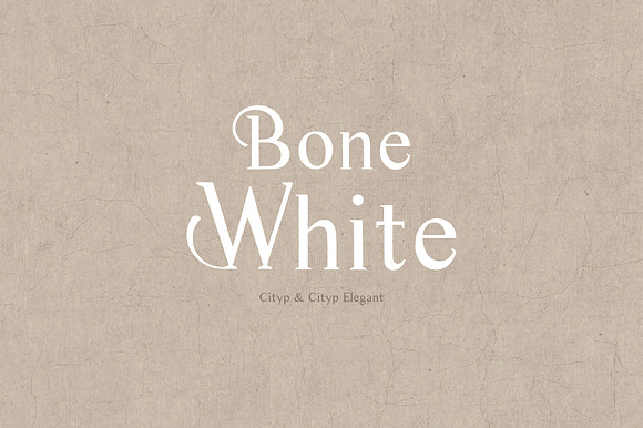 Cityp Serif Font preview 8
