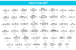 Types Marine, Ocean fish. Vector, an Animal Illustration by Tettygreen