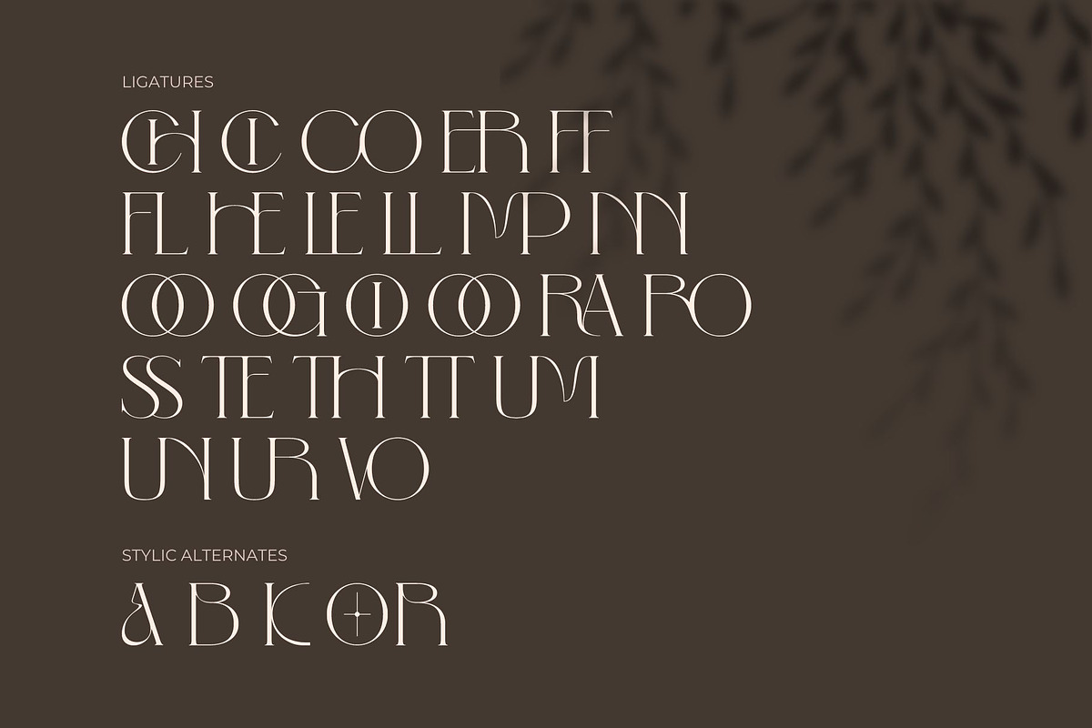 Maroon Black, a Serif Font by Nirmana Visual (Photo 5 of 11)