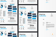 Inforgraphic Resume CV, a Resume Template by iDoodle Studio (Thumbnail 6 of 6)
