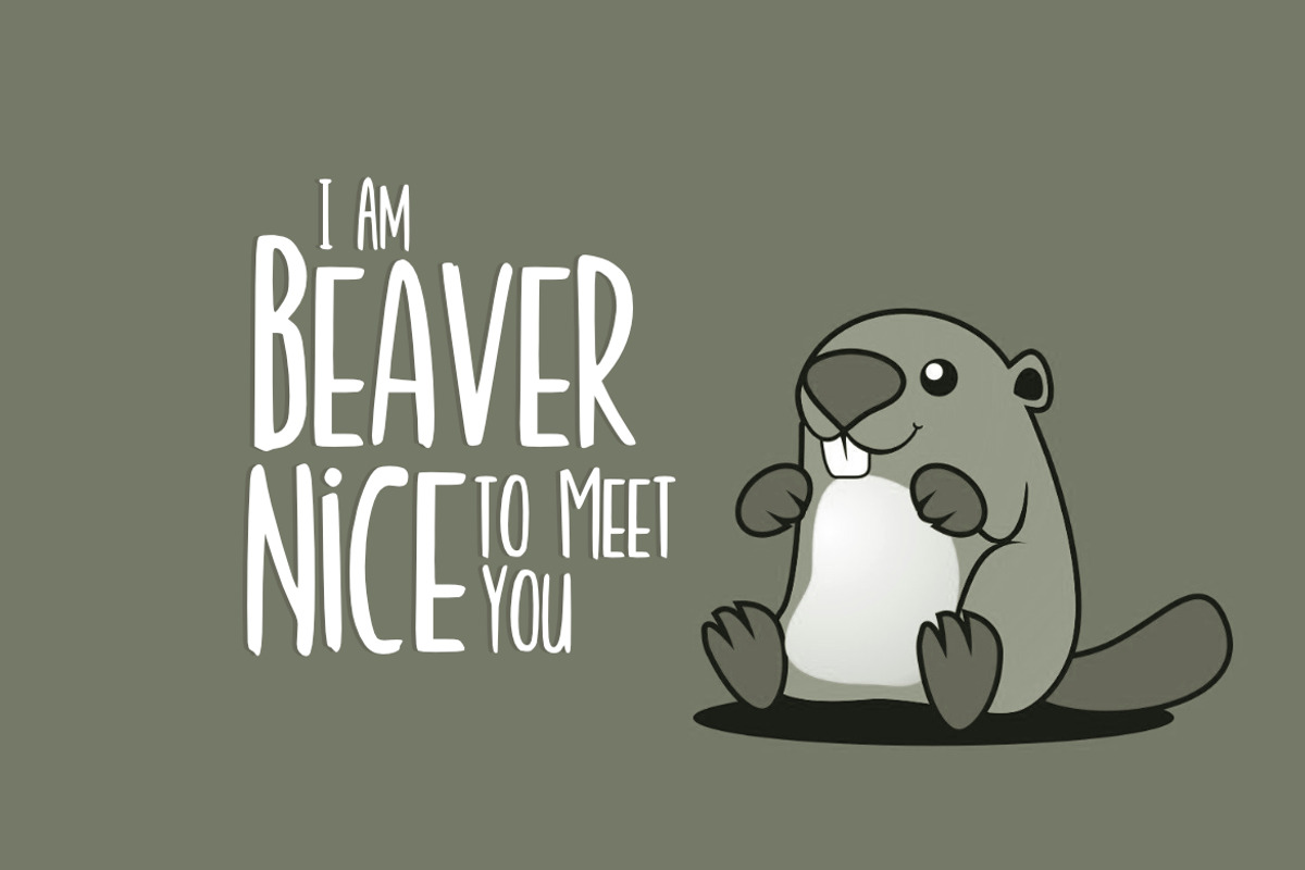 Beaver Font preview 3