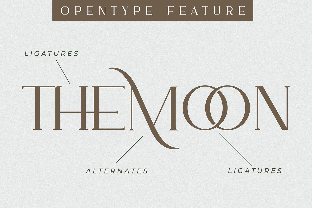 Ammira | A Modern and Elegant Serif, a Serif Font by Andrimada Creative (Photo 4 of 13)